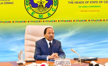 Cameroon Info Net Cameroun Afrique Centrale Le Mandat De Paul Biya