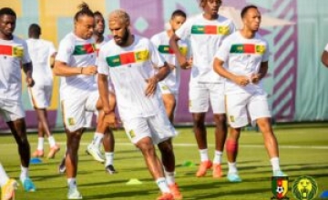 Cameroon Info Net Mondial Qatar Le Staff Des Lions Veut