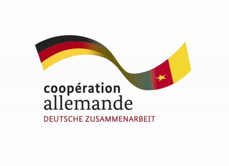 CameroonInfo.Net Cameroun  Coopération L'Allemagne suspend le