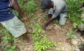 Cameroon Info Net Cameroun Environnement La société Les Brasseries