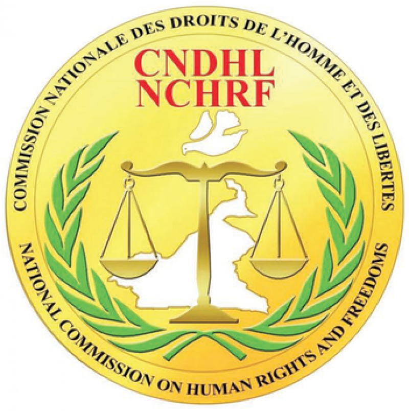 Cameroon-Info.Net:: Cameroun – Innovation : La Commission Des Droits De ...