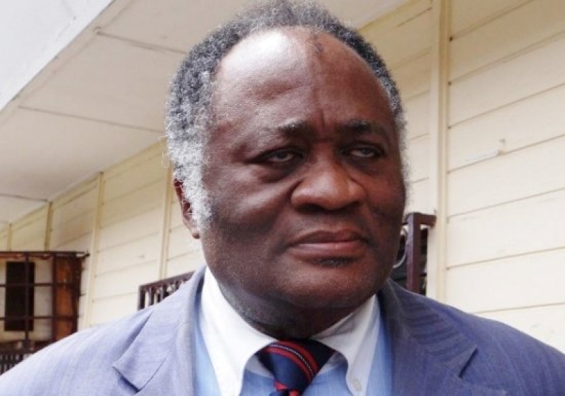 Cameroon-Info.Net:: Cameroon – Constitutional Council: Prof. Joseph ...